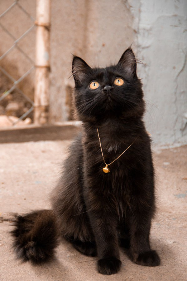 Работы учеников школы. Фотостудия Алматы. Фотосъемка Алматы. Фотосессия Алматы. Фотокурсы. Обучение фотографии. Аренда студии