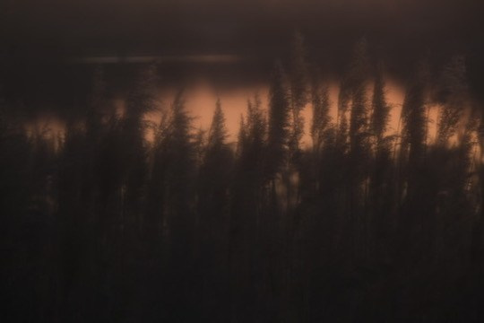 BUY ARTWORKS. Alyona Rubanova — Visual artist