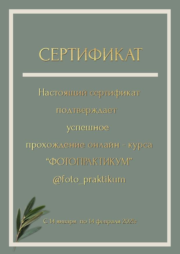 ДОСТИЖЕНИЯ. Фотограф Карпова Екатерина в Коломне и области