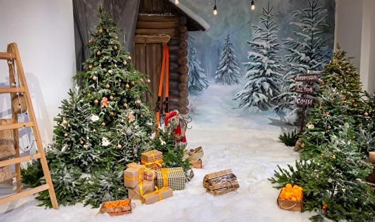 Фотостудия «ПРОСТОР» Зал «ВЕГА». Детский и семейный фотограф в Ростове-на-Дону Светлана Коновалова