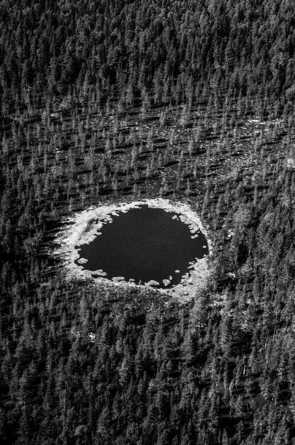 Summer Shore. Vitaly Severov