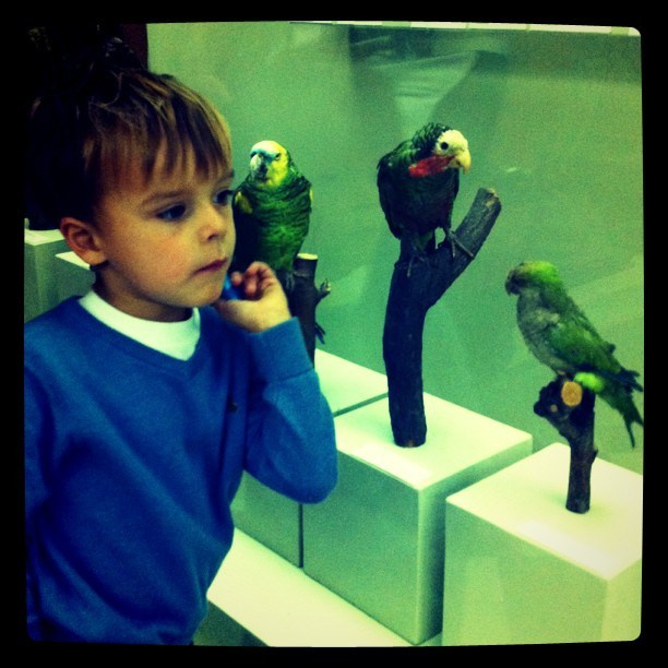 Мы с детьми сборник 1000 фото первая часть. Заставка