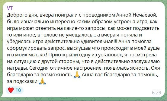 Анна Нечаева. Исследовательская игра ЗЕМЛЯНИН в Перми, Москве, Сочи, и других городах