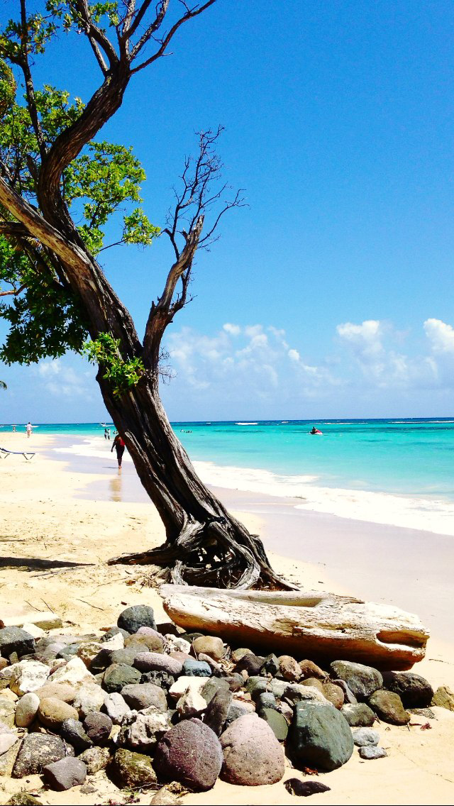 Калейдоскоп путешествий. Семейный и детский фотограф. Москва. Пронина Тома