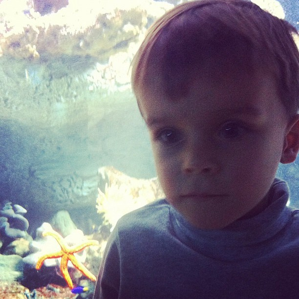 Мы с детьми сборник 1000 фото первая часть. Заставка