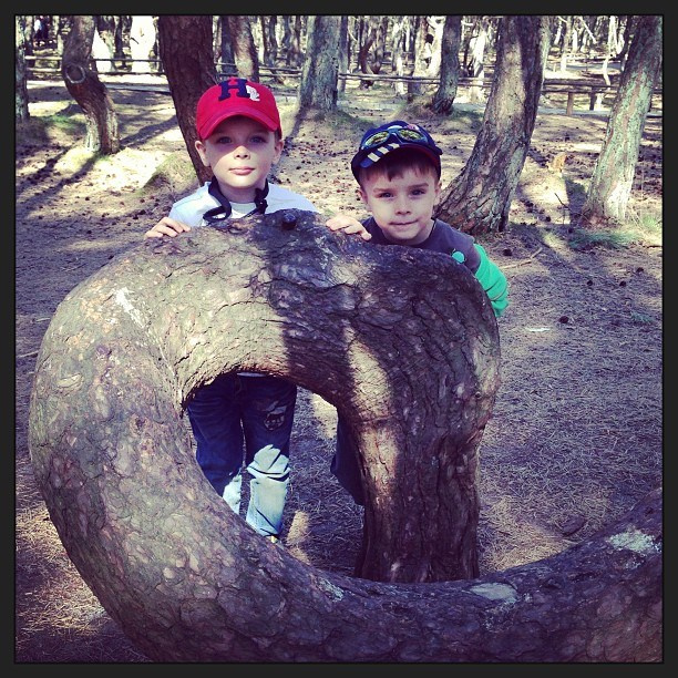 Мы с детьми сборник 1000 фото первая часть. Заставка