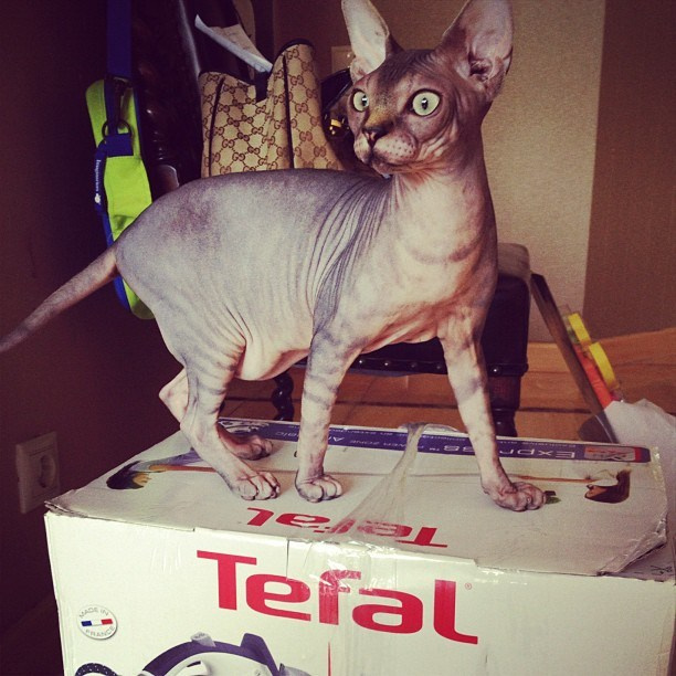 Мы с детьми сборник 1000 фото первая часть. Заставка