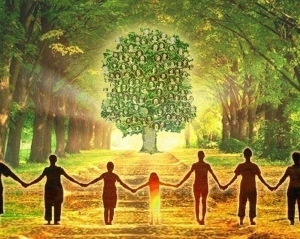 Блог. Энергопрактик Елена Ильюшина