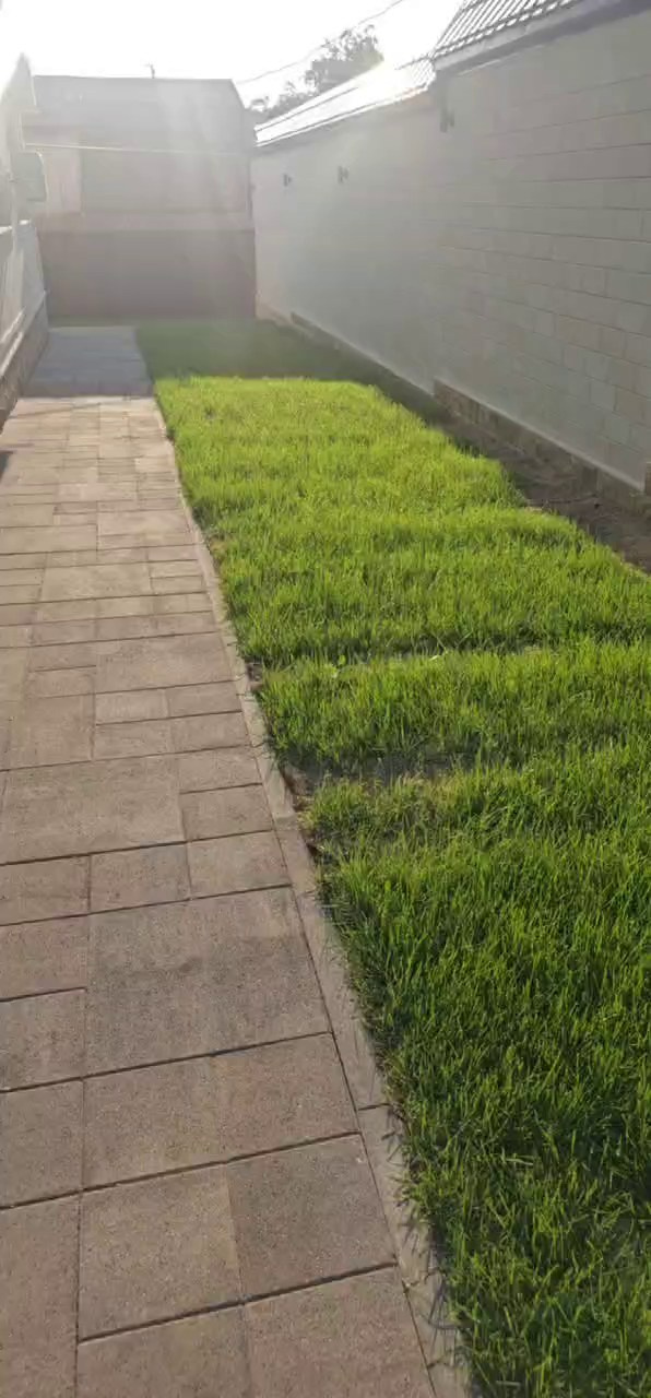 Восстановление газона. Дизайн интерьера, мебели и ландшафта на КМВ | OXY Design