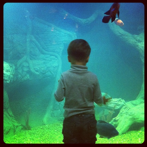 Мы с детьми сборник 1000 фото первая часть. Заставка