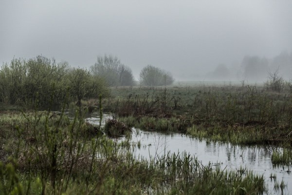 Путешествия. Фотограф Александр Ямпольский