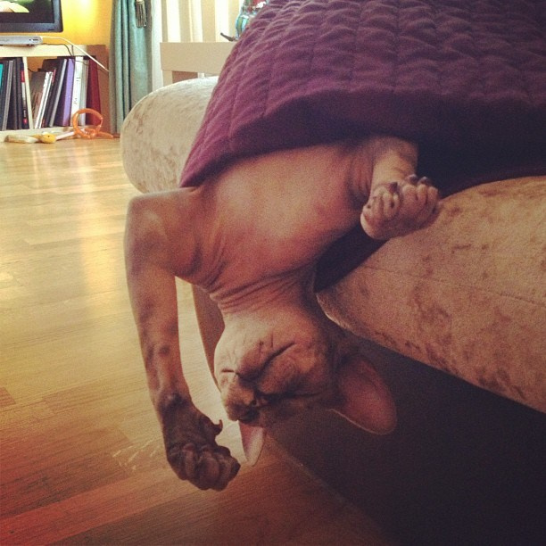 Мы с детьми сборник 1000 фото первая часть. Заставка