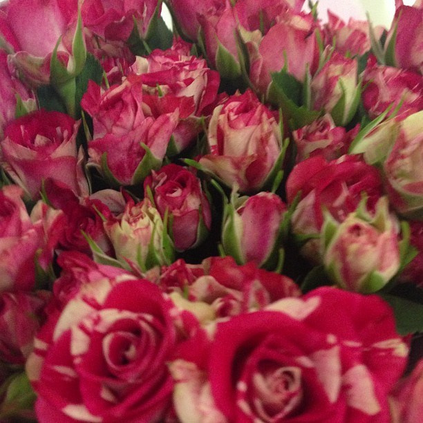 Bashnin instagramm. Заставка