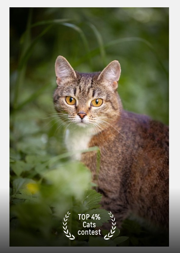 Фотограф Мария Кольцова