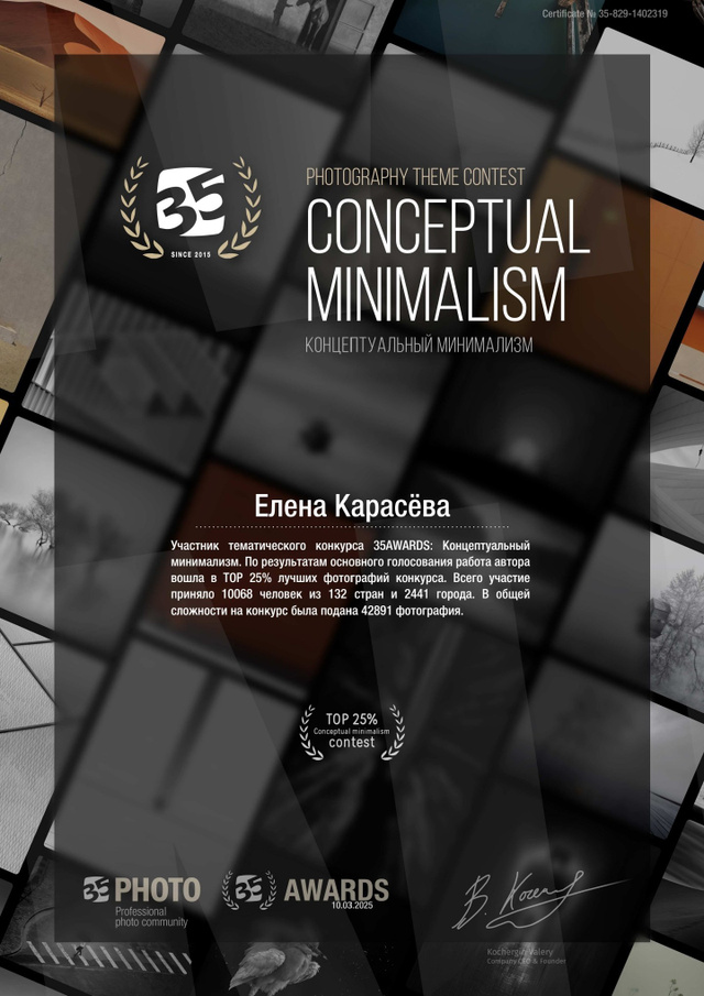 Диплом 35AWARDS: Conceptual Minimalism — TOP 25%