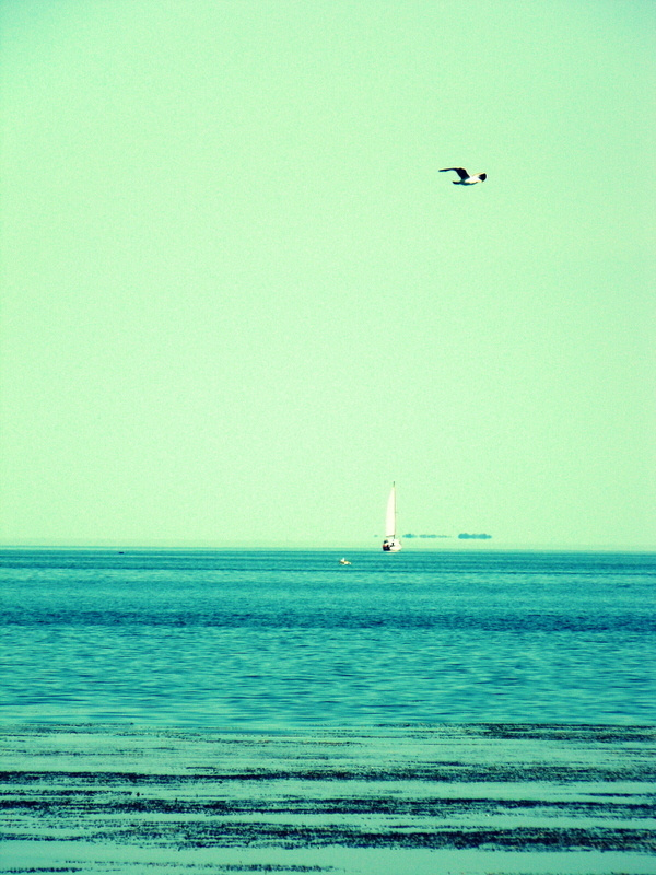 Работы студентов. Продвинутый уровень (1 и 2 ступень) . Интенсив "Художественно…. Максим Матвийченко и Виктория Басова профессионалы своего дела