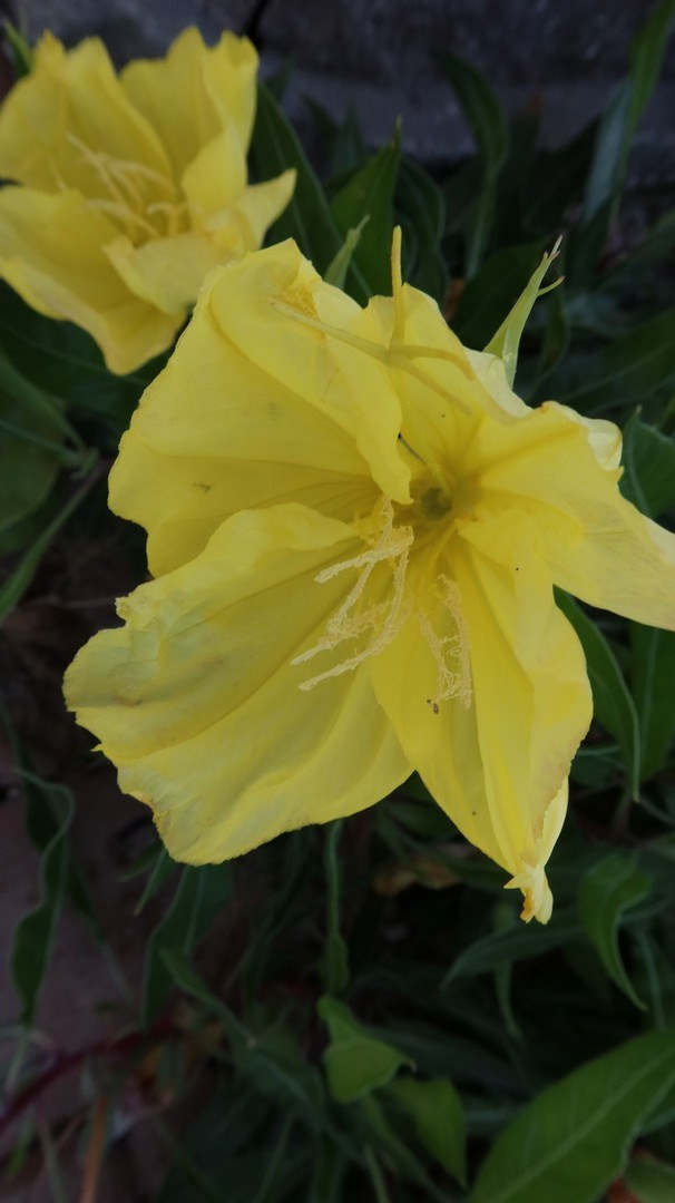 Крым 2021. Улица, люди, жизнь…