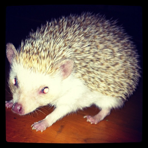 Мы с детьми сборник 1000 фото первая часть. Заставка