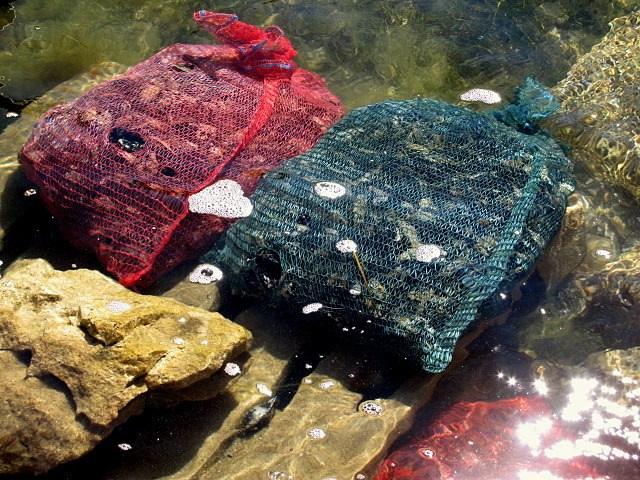 Хорватия: Стон, Трстено, Корчула — радости и гадости природы. Дарья Письменюк / Darya Leitstern — фотограф, музыкант, журналист, путешественник