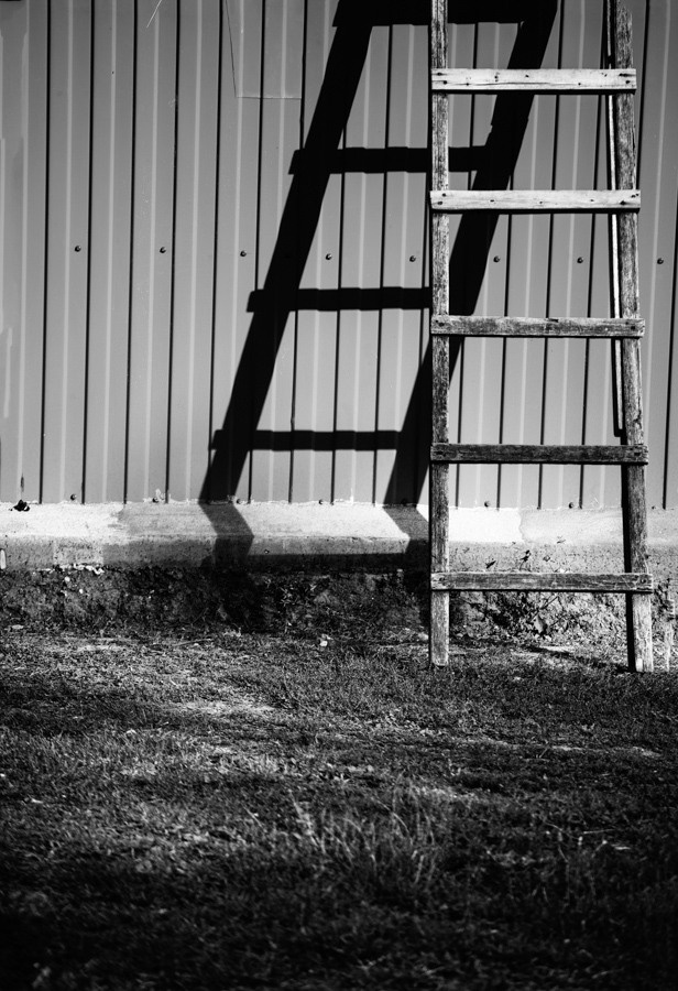 — то что нравится. Фотограф Кочкаев Роман