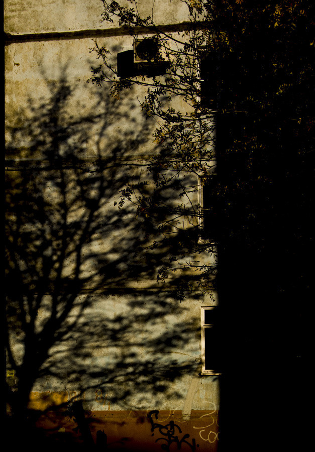 — то что нравится. Фотограф Кочкаев Роман