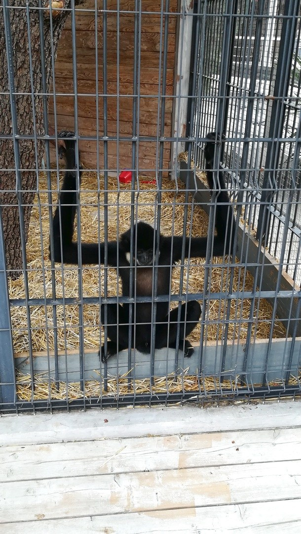 Крым 2020 г. Улица, люди, жизнь…