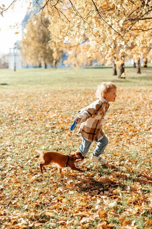 Верный друг