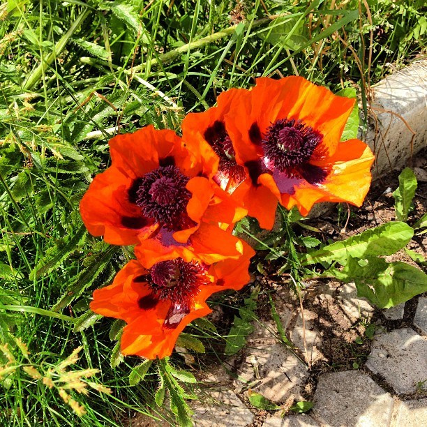 Мы с детьми сборник 1000 фото первая часть. Заставка