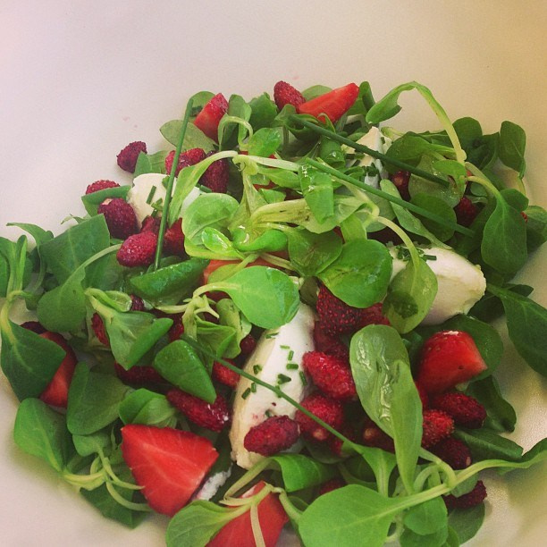 Bashnin instagramm. Заставка