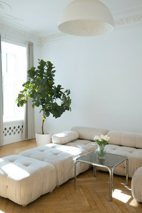 Лучшие фотостудии. Фотограф в Санкт-Петербурге Гранкина Мария