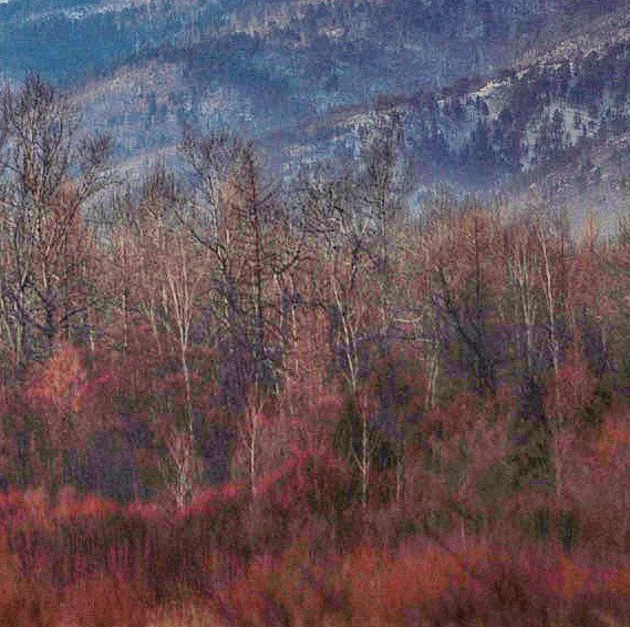 2022. Тащилин Сергей. Фотографии. Жизнь. Хобби