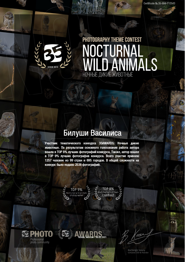 Контакты. Коммерческий фотограф в Москве Билуши Василиса