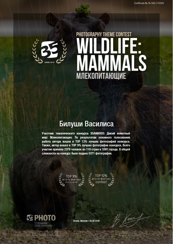 Контакты. Коммерческий фотограф в Москве Билуши Василиса