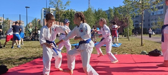 Галлерея. АйкидоТатарстан