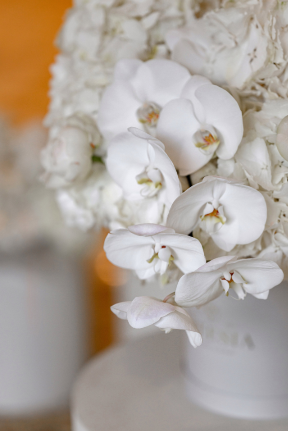 FREESIA — Корпоратив