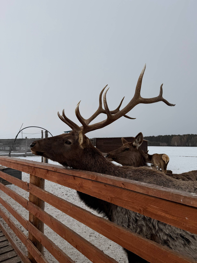 Остров Монерон