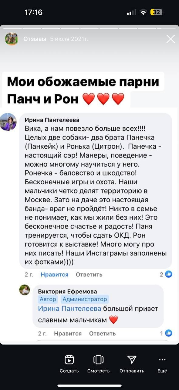 Фритсвит. Семейный фотограф Ефремова Виктория