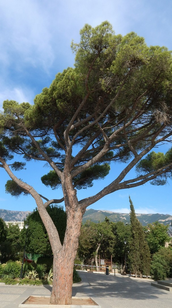 Крым 2021. Улица, люди, жизнь…