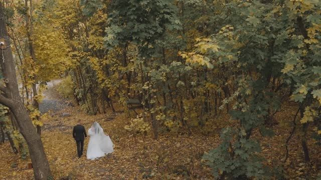 Свадебные клипы. Свадебный видеограф Фазлиддин Саратов