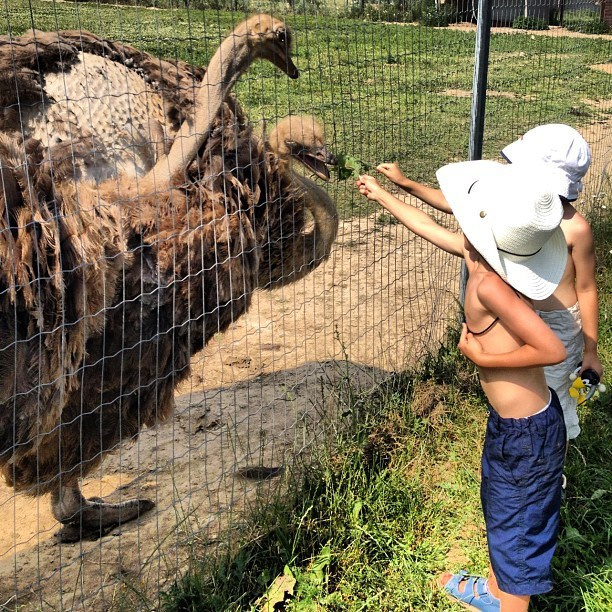 Мы с детьми сборник 1000 фото первая часть. Заставка