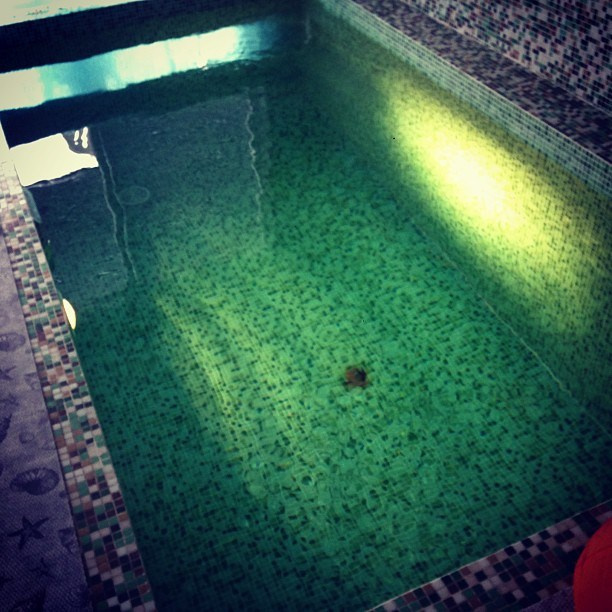 Bashnin instagramm. Заставка