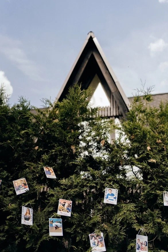 Фотогалерея мини-отеля «Таежный». Организация свадеб под ключ в Раменском