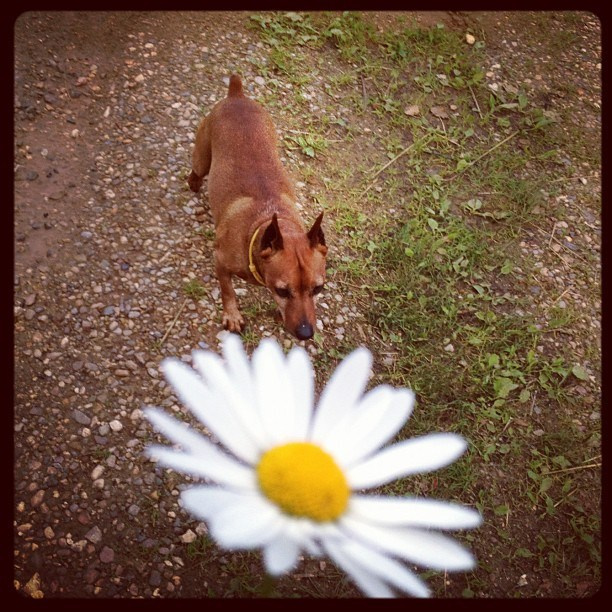 Мы с детьми сборник 1000 фото первая часть. Заставка