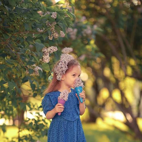 Сирень. Фотограф Юлия Рязанова Москва семейный и детский