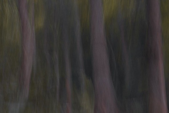 BUY ARTWORKS. Alyona Rubanova — Visual artist