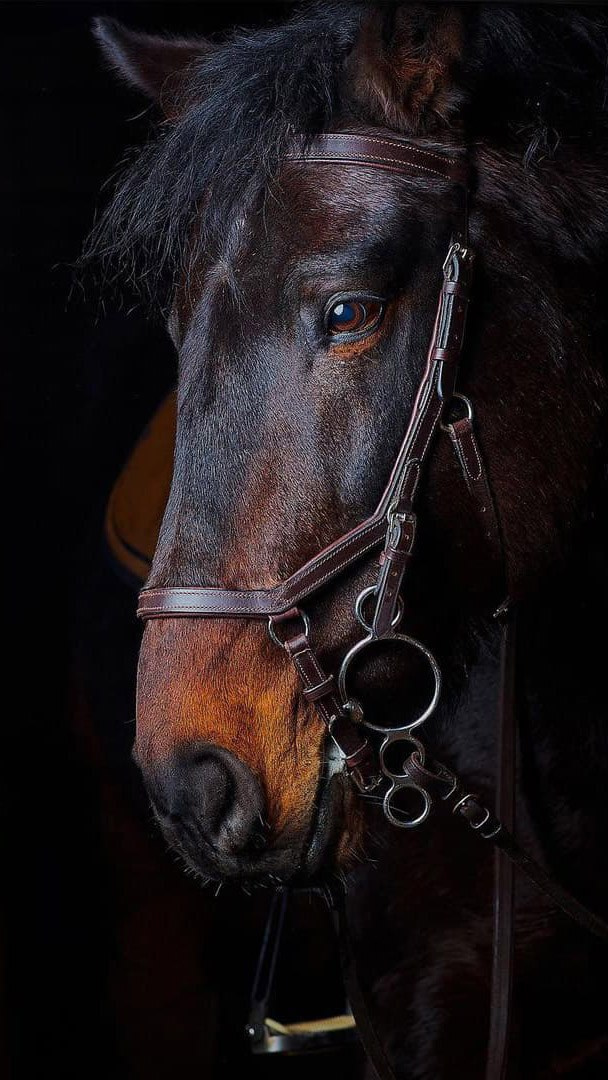 Международная онлайн-фотошкола Сергея Рожнова
