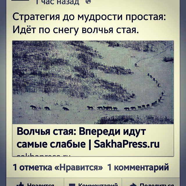 Bashnin instagramm. Заставка