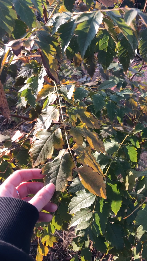 Черепашье озеро. Anita_photo