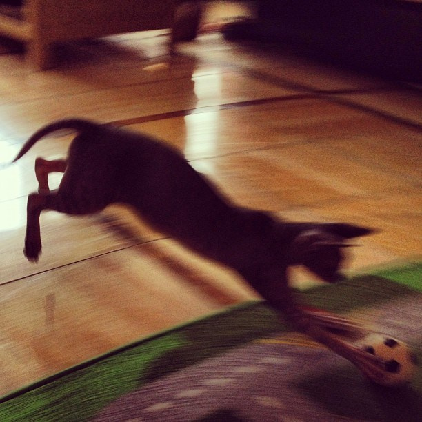 Мы с детьми сборник 1000 фото первая часть. Заставка