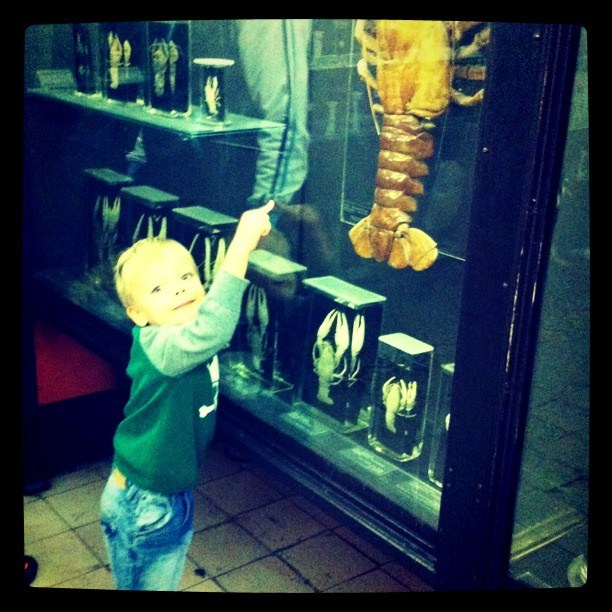 Мы с детьми сборник 1000 фото первая часть. Заставка